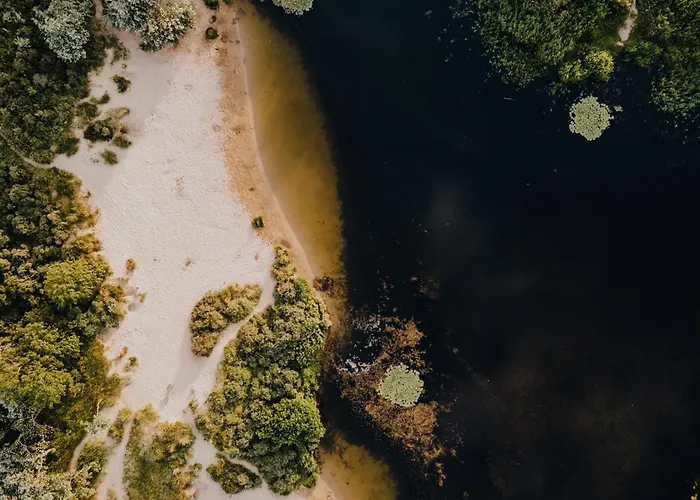 Studio Zandvoort Homestay *