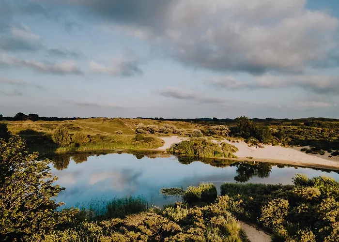 Homestay Studio Zandvoort Zandvoort